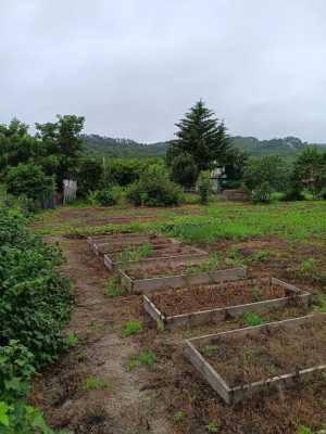 ���� 20 �2 � �������� 12,5 �����
