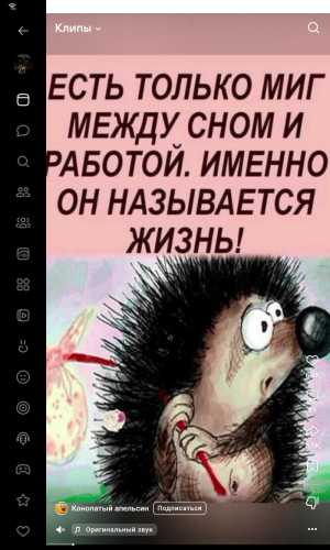 Ветврач на дому город Ухта