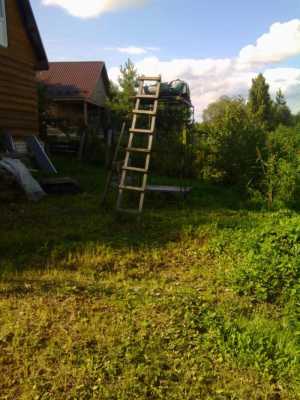 ���� 55 �2 � ��� �����