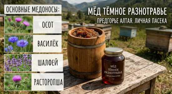 ̸� � ��������� �����