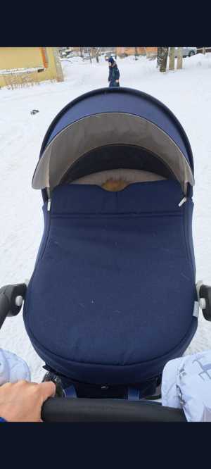 ������ ���� ���������� ������� Stokke Trailz 2 � 1.
