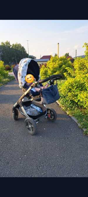 ������ ���� ���������� ������� Stokke Trailz 2 � 1.
