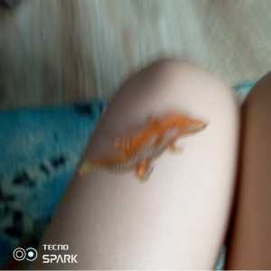 Ящерка