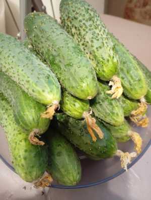 Продам
