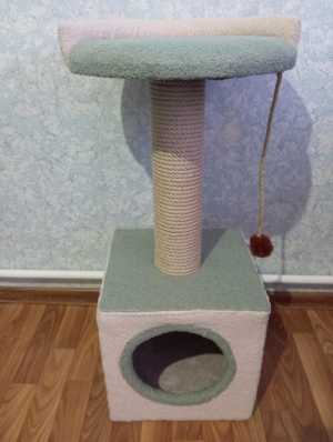 Когтиточку