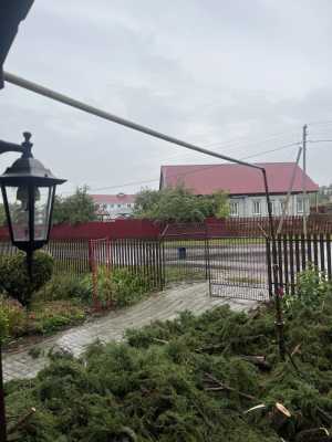 Дрова для бани