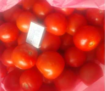 Продам помидор