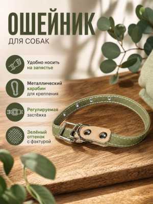 Ошейник для собаки