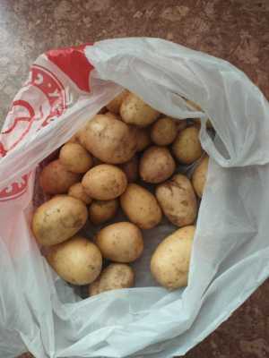 Продам картофель дачный