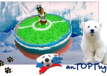 ТОРТЫ НА ЗАКАЗ