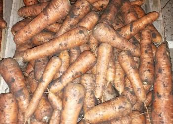 Продажа урожая, свое хозяйство