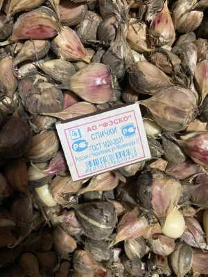 Продам чеснок