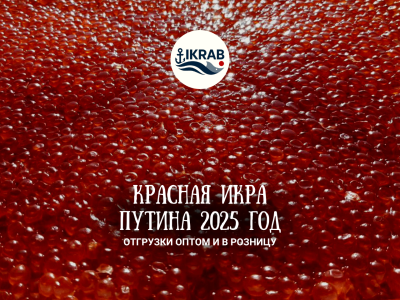 Красная икра горбуши опт и розница