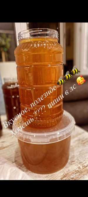 Продам мёд оптом