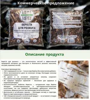 Береста