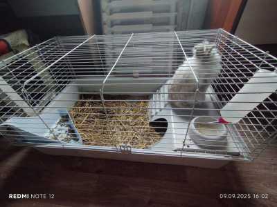 Продам клетку