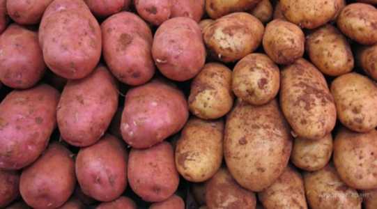 Продам картофель
