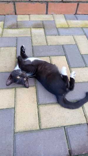 �������� ������� ������� ���� ���
