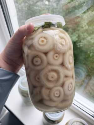 Грузди солёные