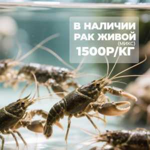 Живые раки
