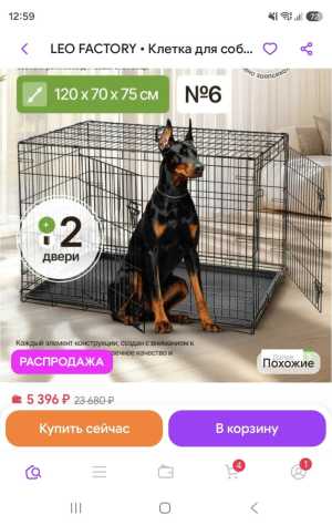 Клетка