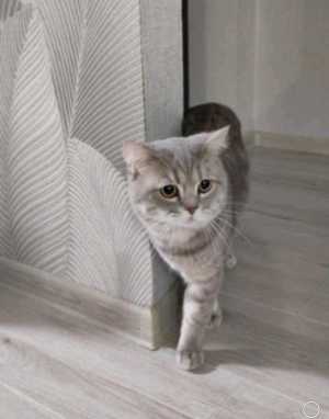 Вязка