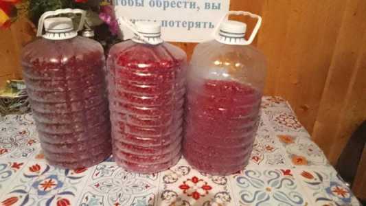 Лесные ягоды. Брусника 5л