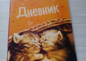 Дневник с 1-11 класс