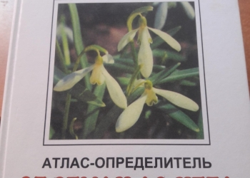 Атлас определить от земли до неба