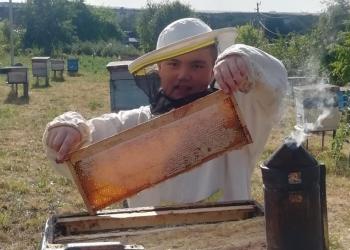 Продам мёд
