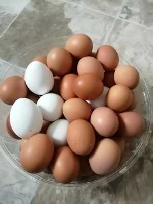Продаю домашние куриные яйца