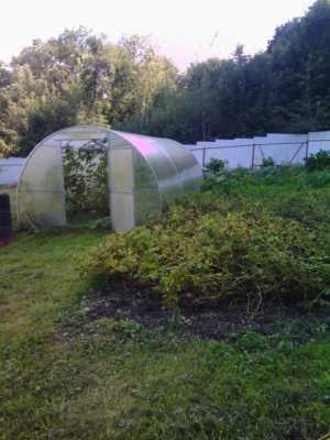 ���� 55 �2 �� ������ ������
