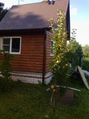 ���� 55 �2 �� ������ ������