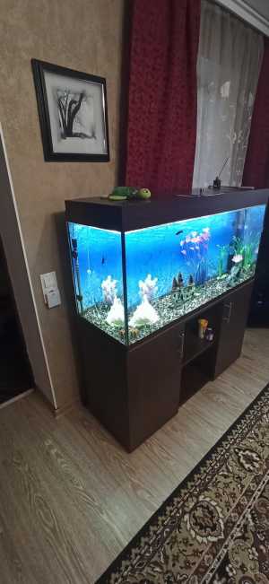 Продам аквариум