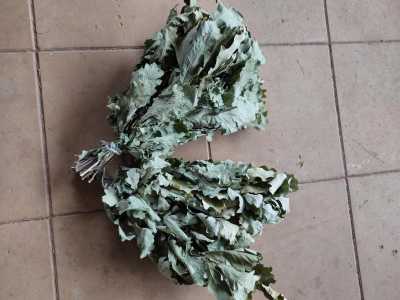 Веники дубовые