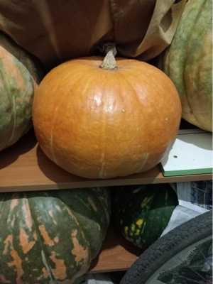 Тыква медовая,кабачки