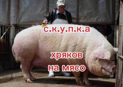 Хряков