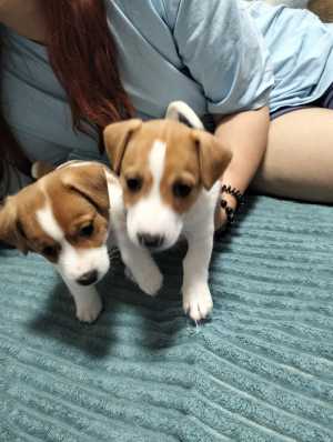 �����