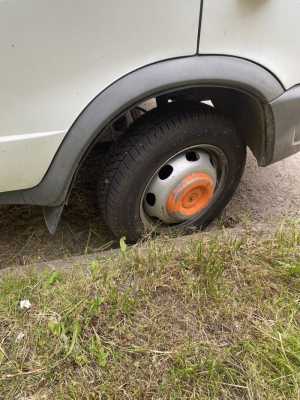 ������ ������ ������ 2018� ������ 195��