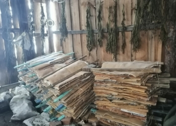 Продам бересту!