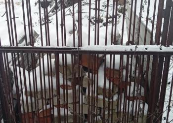 ДЁШЕВО ПРОДАМ РЕШЁТКИ НА ОКНА