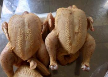Мясо ДОМАШНИХ кур тушки