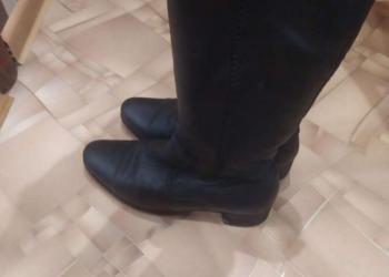 Сапоги