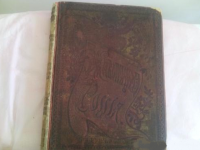 Живописная Россия..1880г...редкое издание