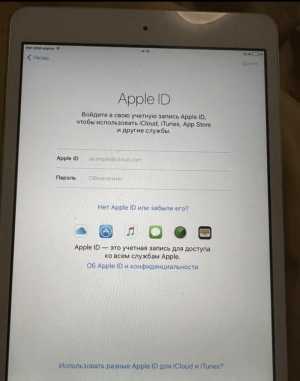 iPad mini