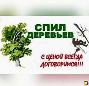 Опиловка спил деревьев Кимовск