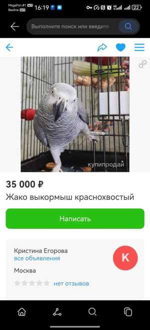 Осторожно мошенники! Птиц и животгых