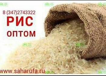 Рис