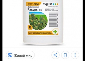 Ракурс 48мл. 20шт
