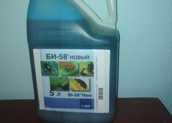 Инсектицид